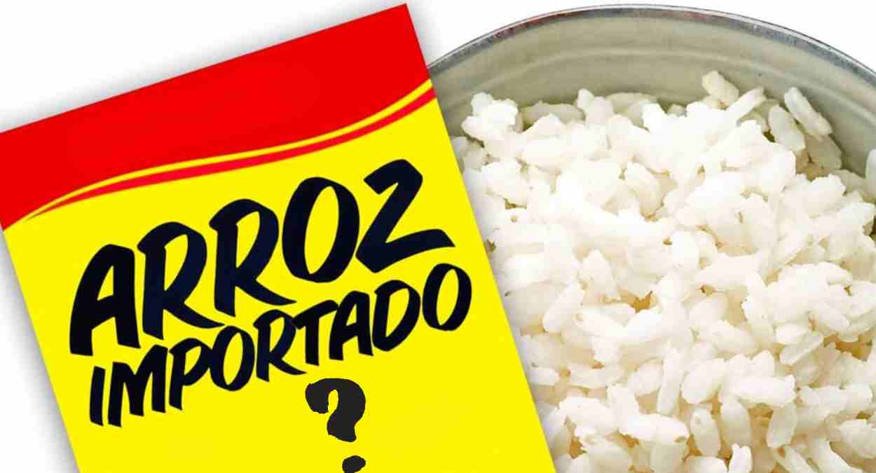 Importação de arroz por parte do governo federal
