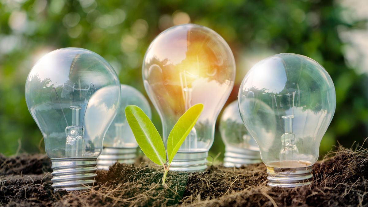 transição energética, petróleo, energia verde, energia renovável
