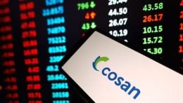 Cosan (CSAN3): com queda de 40% no ano e lucro líquido 57% menor no 3T24, este recado da holding surpreendeu o mercado