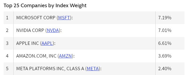 Levantamento das maiores companhias do S&P 500 por peso dentro do índice. As cinco primeiras são empresas de tecnologia e influentes no ramo da IA. (Fonte: Investopedia.com, consultado em 17/07/2024)