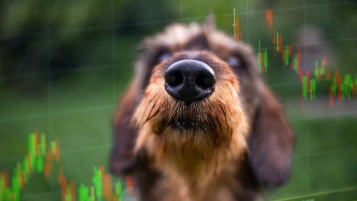 É possível lucrar mesmo errando até 60% das operações? Conheça o ‘cão farejador’ da bolsa que possibilita lucros diários acima de R$ 200