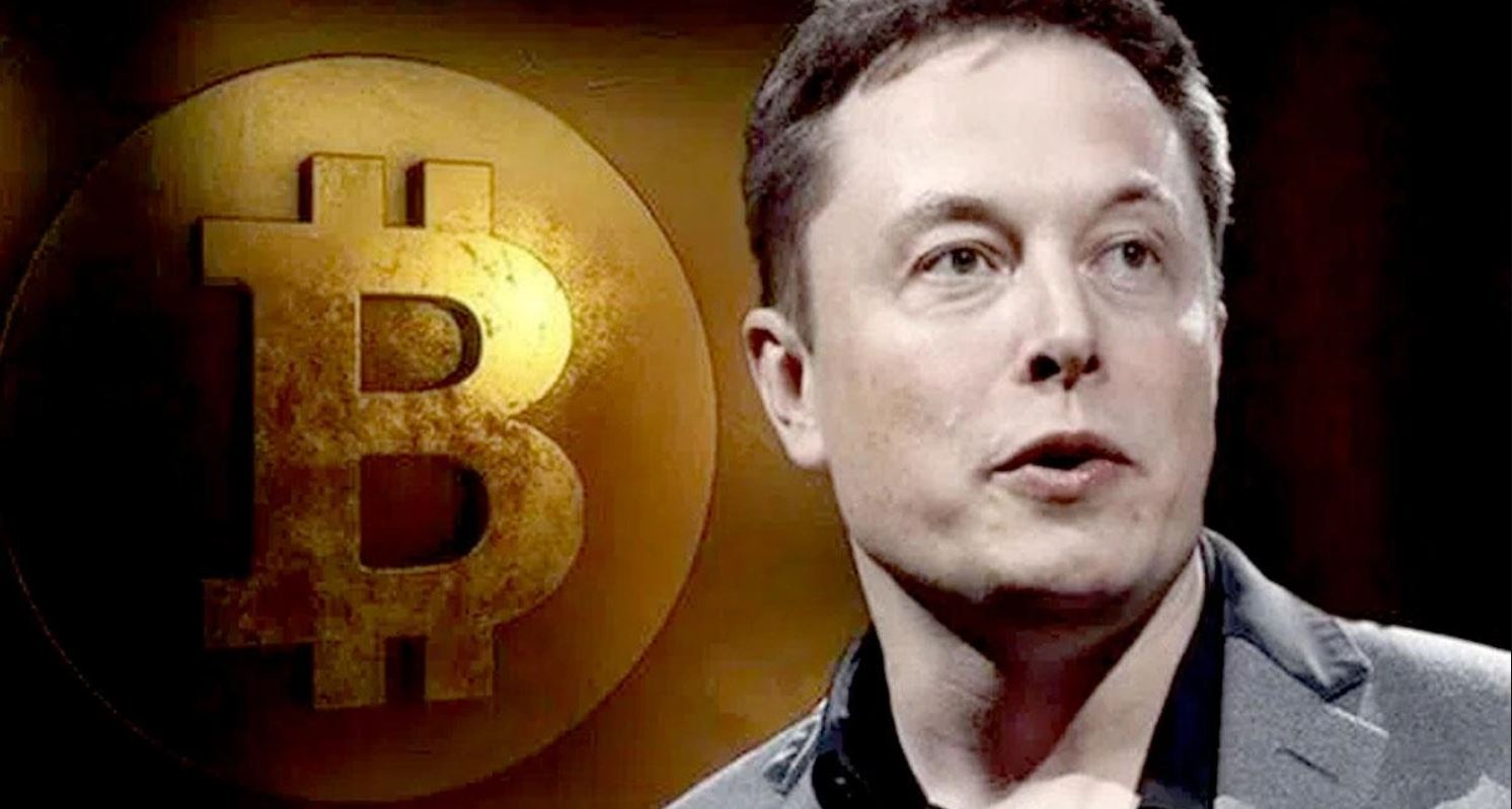 elon musk bitcoin criptomoedas criptoativos