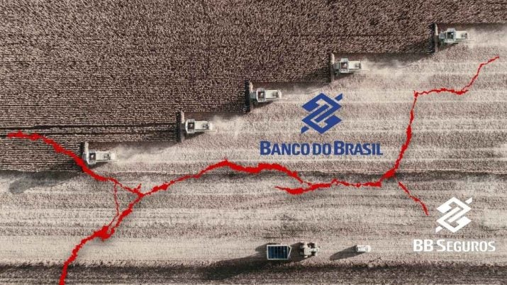 bbse3 bb seguridade banco do brasil bbas3 agronegócio pecuária agro