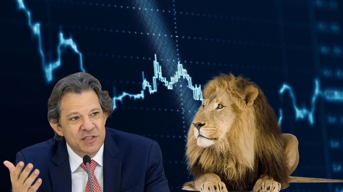 Montagem com o ministro da Fazenda, Fernando Haddad, um leão e um gráfico ao fundo