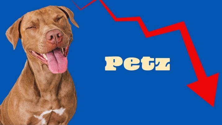 petz petz3 pet ação