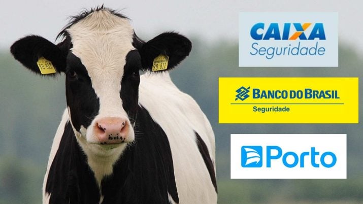 CXSE3, BBSE3 ou PSSA3? Veja a ‘vaca leiteira’ de dividendos que a EQI recomenda comprar agora