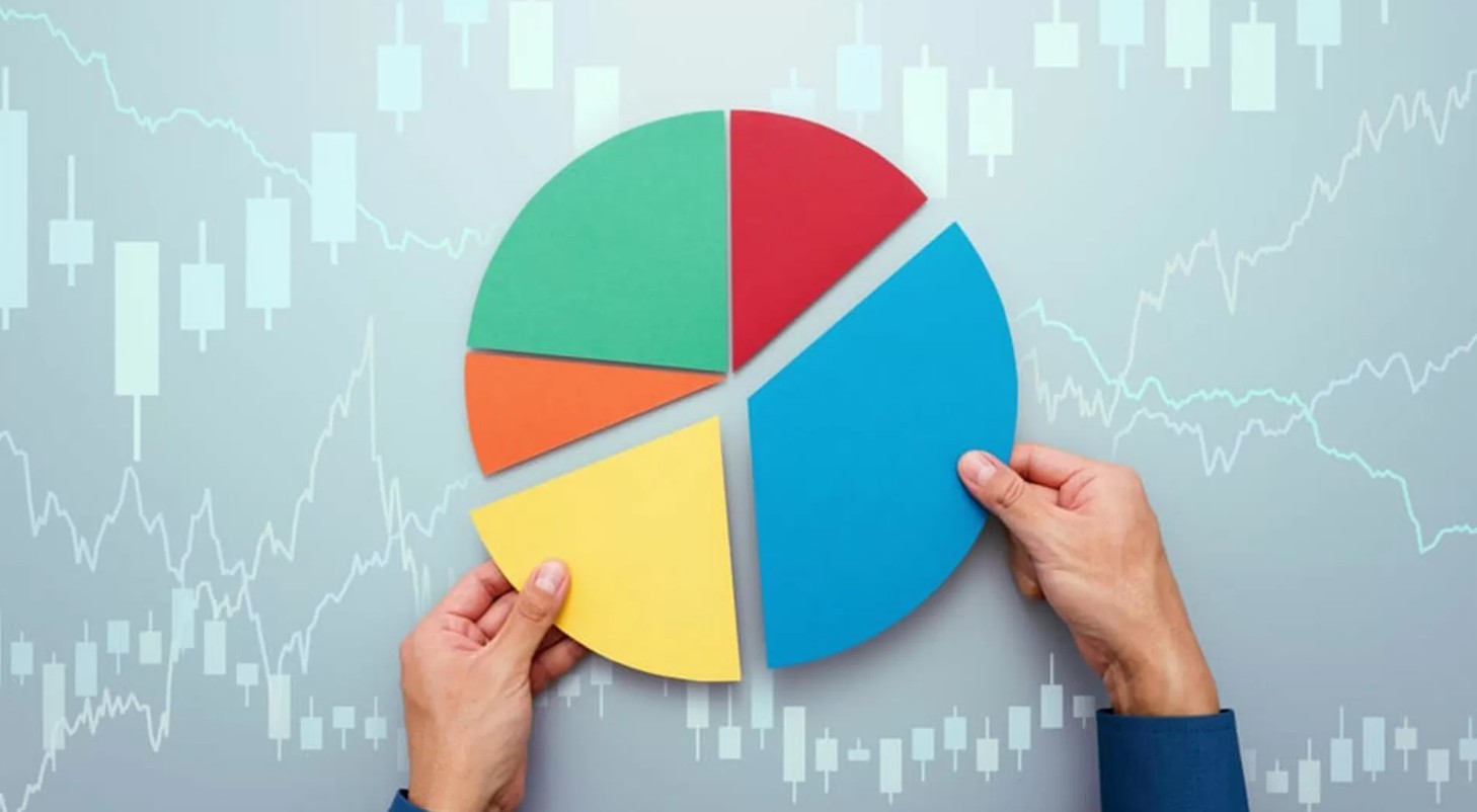 alocação de carteira eqi investimentos simulador