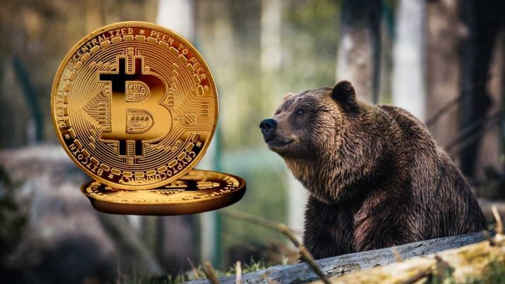 bitcoin-BTC-bear-market-urso-baixa-criptomoedas