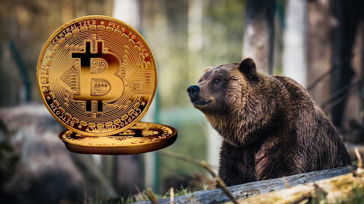 bitcoin-BTC-bear-market-urso-baixa-criptomoedas