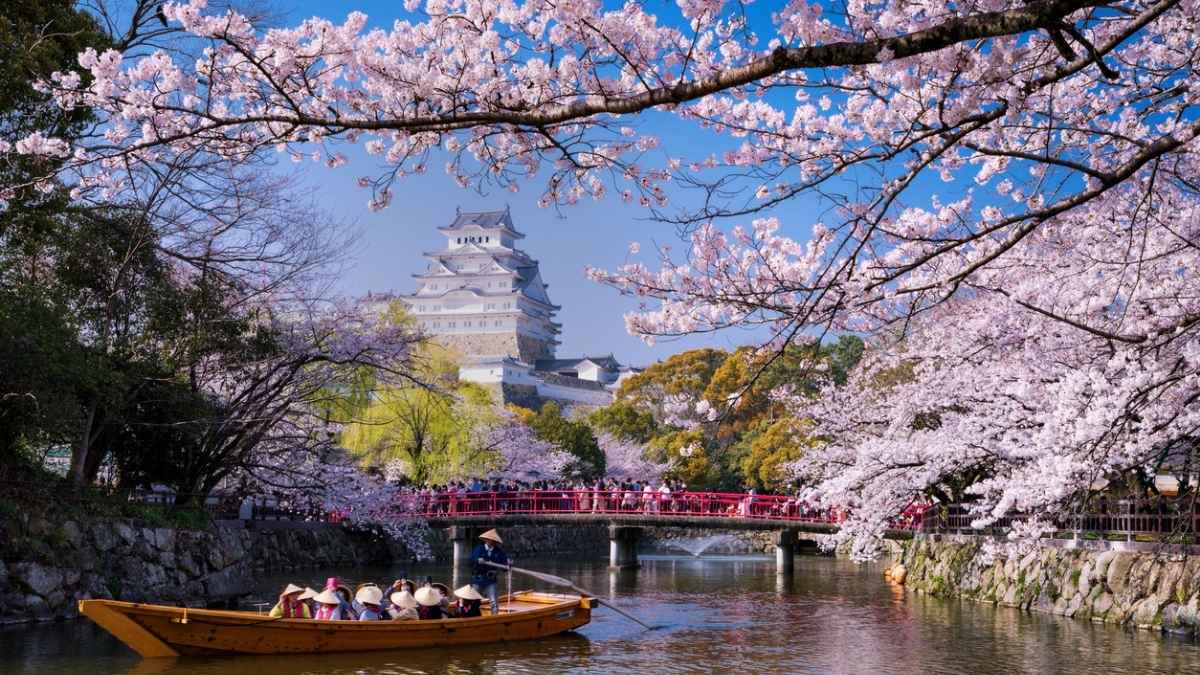 SÓ USO EDITORIAL japão turismo viagem ásia tóquio cerejeiras