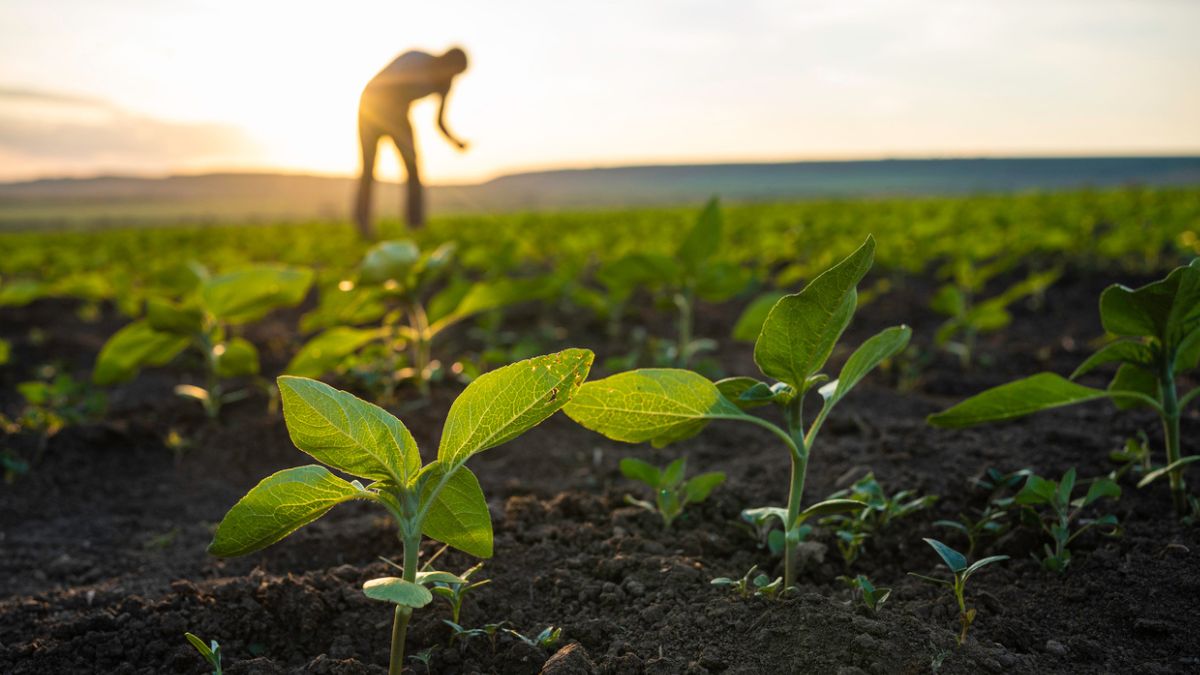 produtos regenerativos agronegócio
