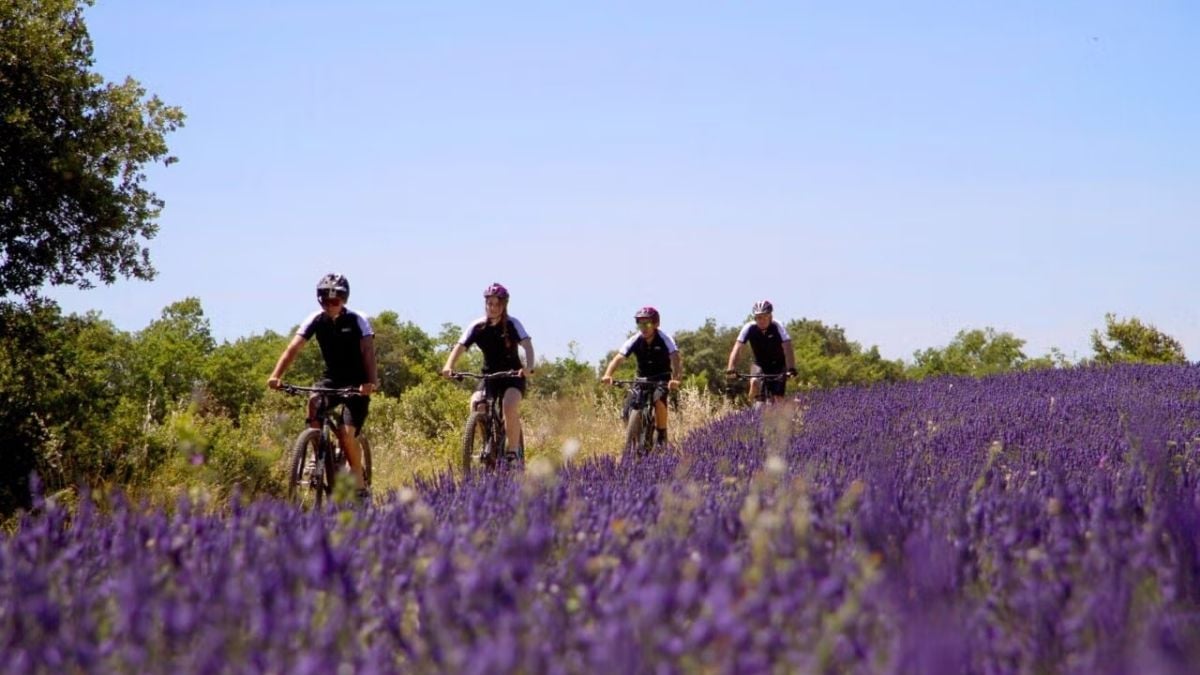 Coquillade Provence Resort & Spa
