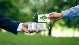 Crédito de Carbono em 2025: Queda na emissão, estabilidade nos preços e crescimento na qualidade