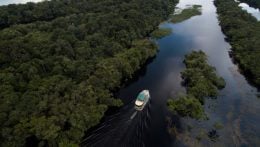 Fundo Amazônia bate recorde ao destinar mais de R$ 1 bilhão para projetos; confira os detalhes
