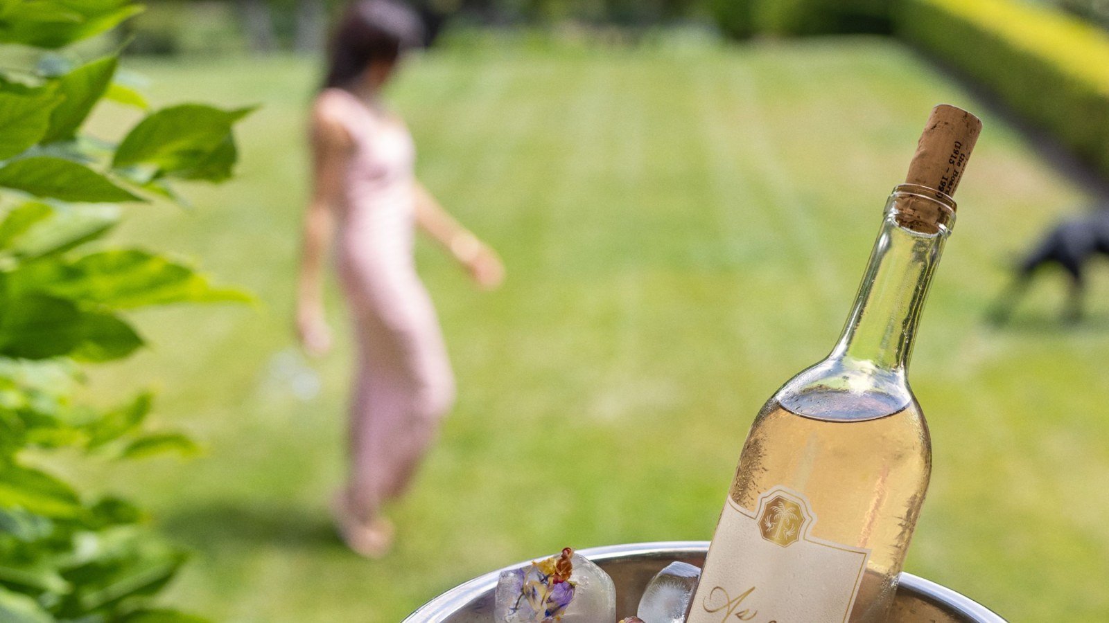 Vinho da As Ever, marca de Meghan Markle